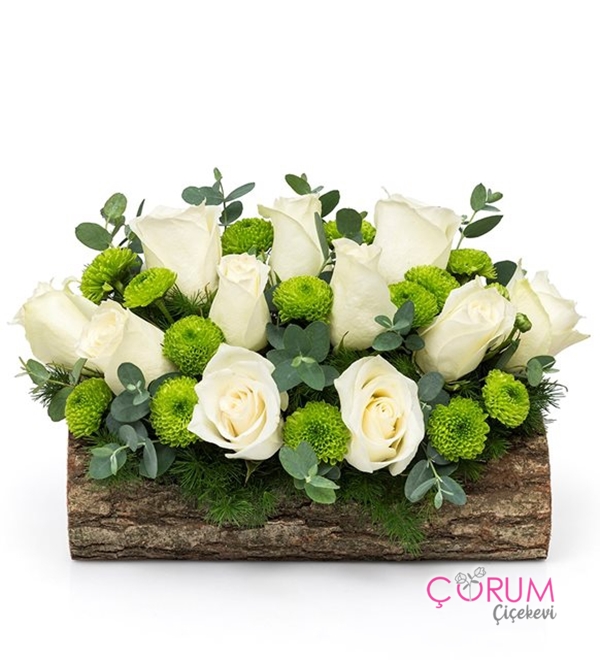 Kütükte Beyaz Güller