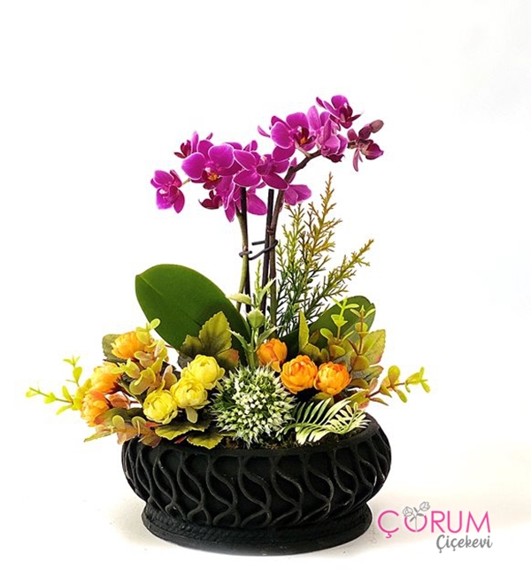 Orkide Lilyum ve Güller