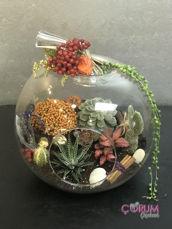 Süslü Elma Bahçesi